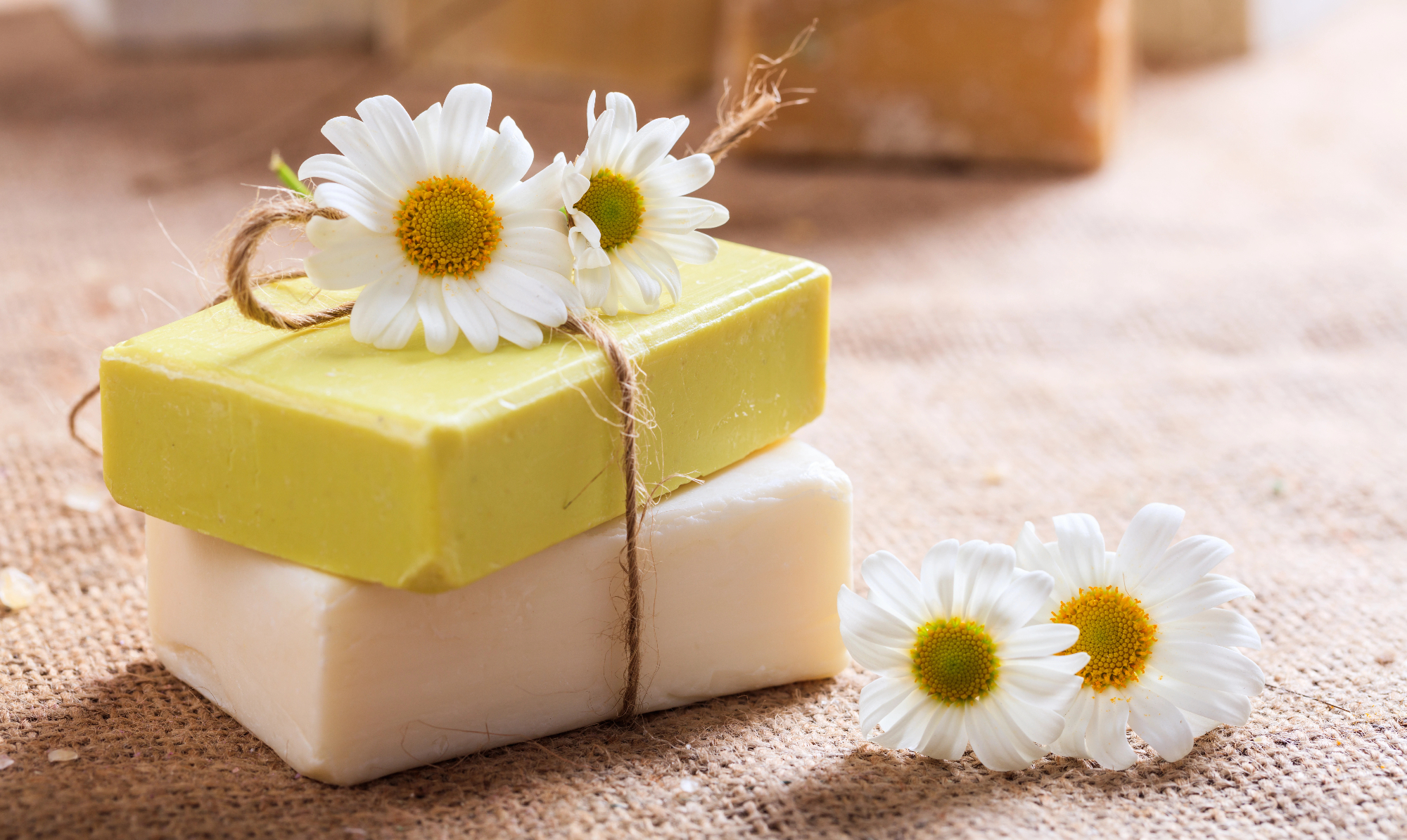 Vegansko milo opravi svojo nalogo več kot odlično!